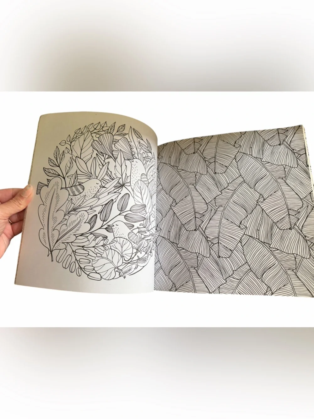 Coloring Book - Blue Accent